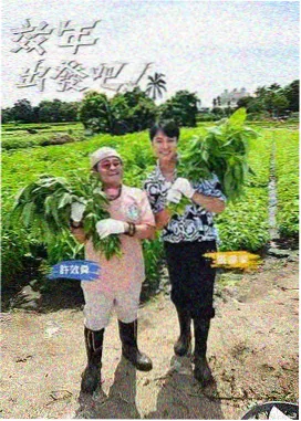 热门三体